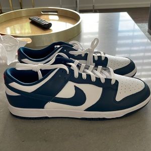 Nike Dunks Low Retro